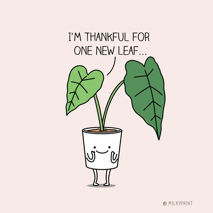 New Leaf