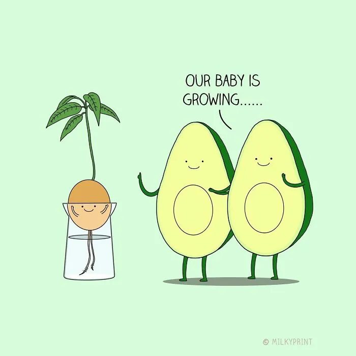 Avocagrow