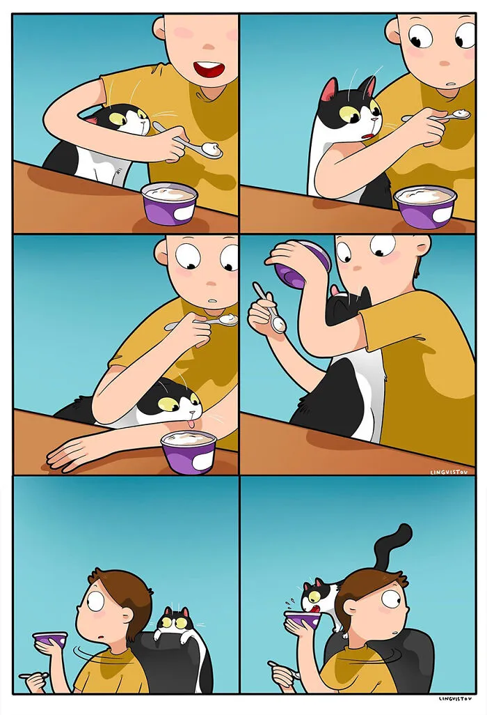 Esta artista ilustra cómo es vivir con un gato (25 nuevos cómics)