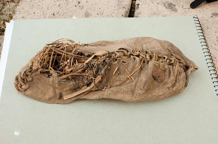 El zapato más antiguo (5.500 años)