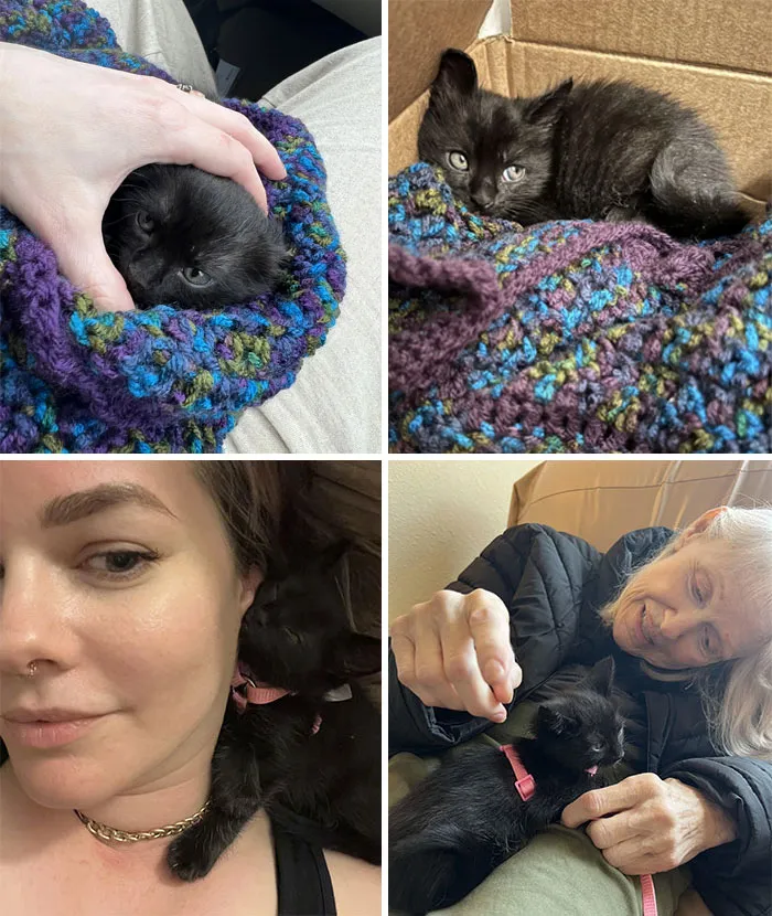 On Sunday, Hospice Told Me That Mom’s Lungs Were Starting To Fill With Fluid, Indicating The Start Of Organ Failure. My Mom Is Likely In Her Final Weeks Of Life