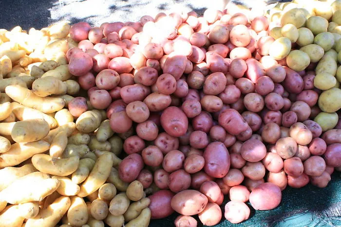 Person Asks "What Is Some ‘Poor People's Food’ That You Will Eat No Matter How Wealthy You Get?", And 30 Folks Deliver