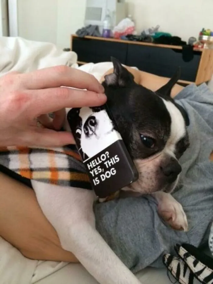 My Wife Made A New Phone Case