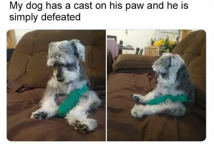 A Very Dejected Boy. (Not Mine, Just A Picture From Facebook)