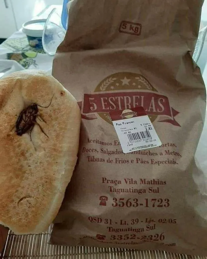 Cockroach Bread
