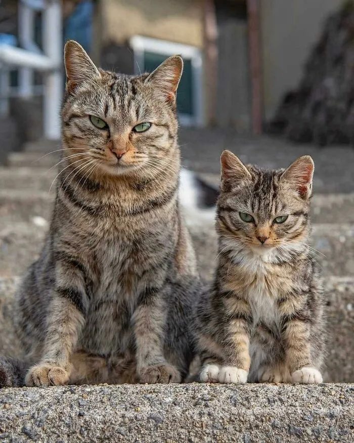 Like Father, Like Son