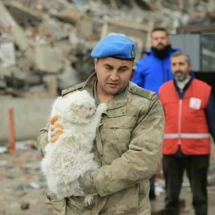 Cat Rescued After Massive Earthquake In Turkey, Today