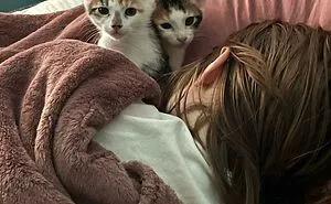 50 Aww-Inducing Pics Of Cats That Are Impossible Not To Enjoy