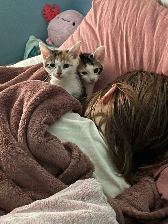 So, After Our First Day Of Volunteering At Our Local Animal Shelter…