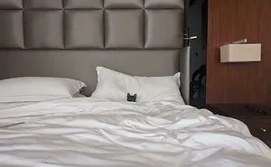 50 Times Cats Made Their Owners Laugh And They Just Had To Share Pics Online