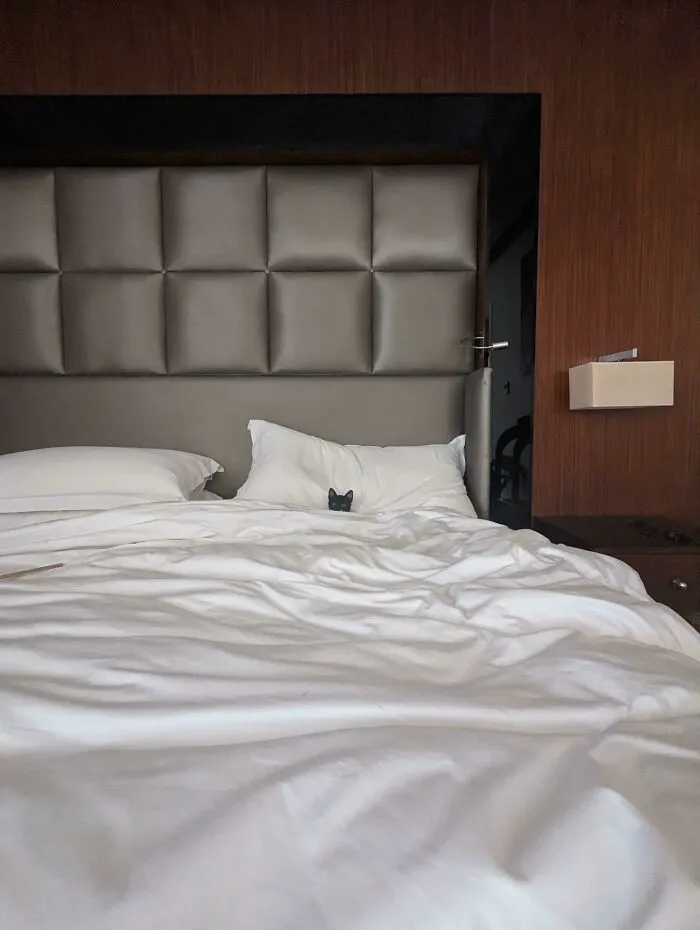 Toda la cama para ella