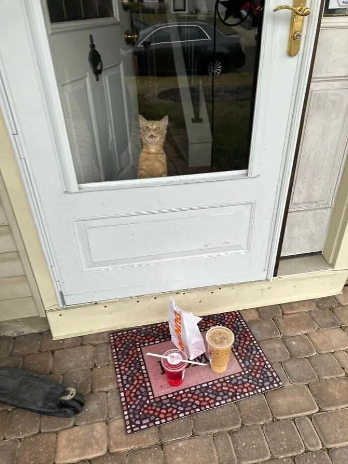 I Doordashed Dunkin Donuts For My Nephew And I. This Was The Drop-Off Photo
