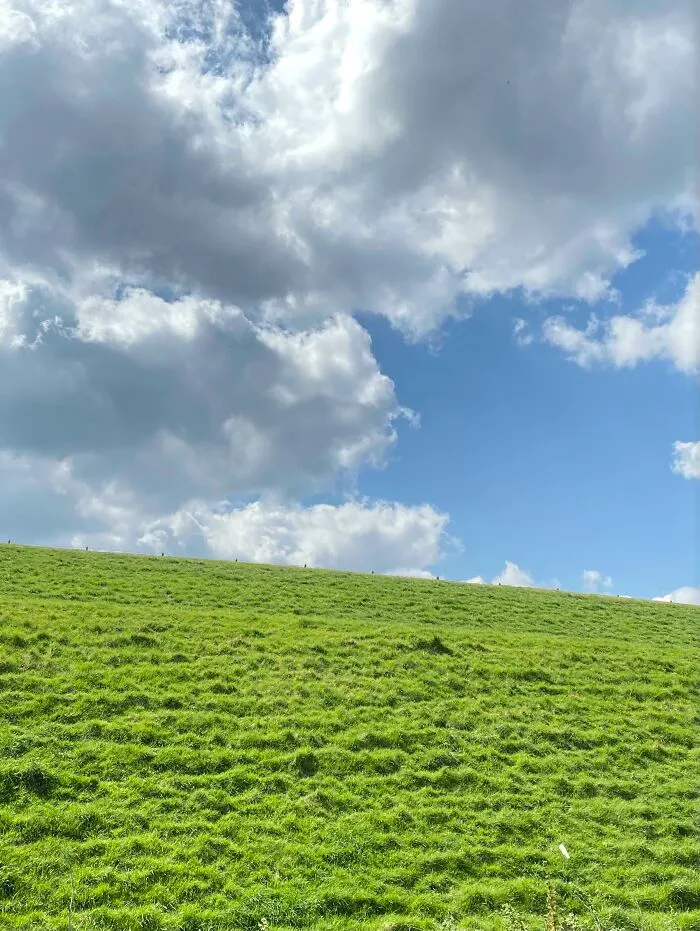 Ayer pasé por Windows XP 