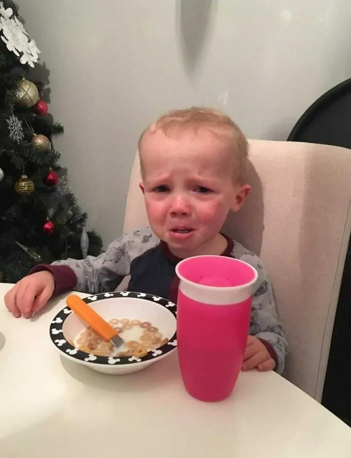 35 Razones tan ridículas como divertidas por las que lloran los niños, compartidas por sus padres