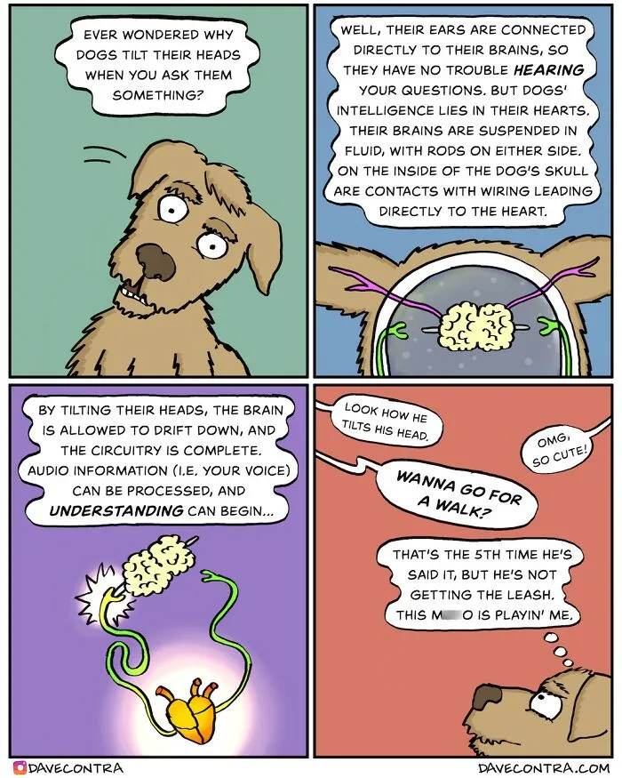 This Artist Creates Dark Humor Comics With Unexpected Twists And Here Are His 40 Recent Works