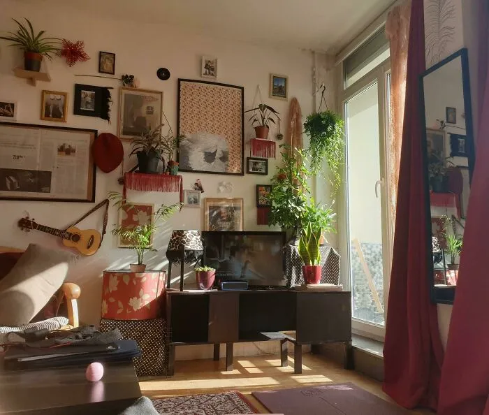 Posters and plants on the wall 