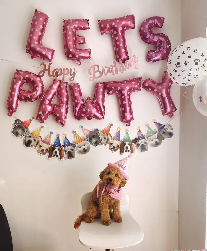 Throw Your Dog An Elaborate Birthday Party