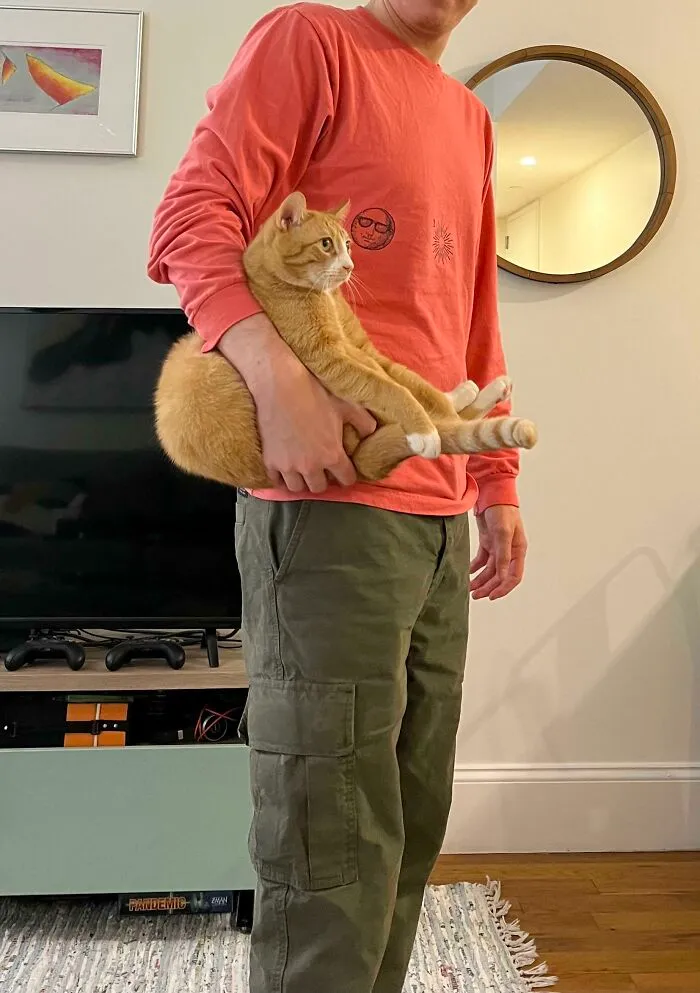 He Likes Being Carried Like An Orange Satchel