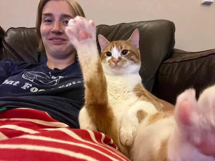 This Is Kevin. He Regularly Sits Like This While We Watch TV