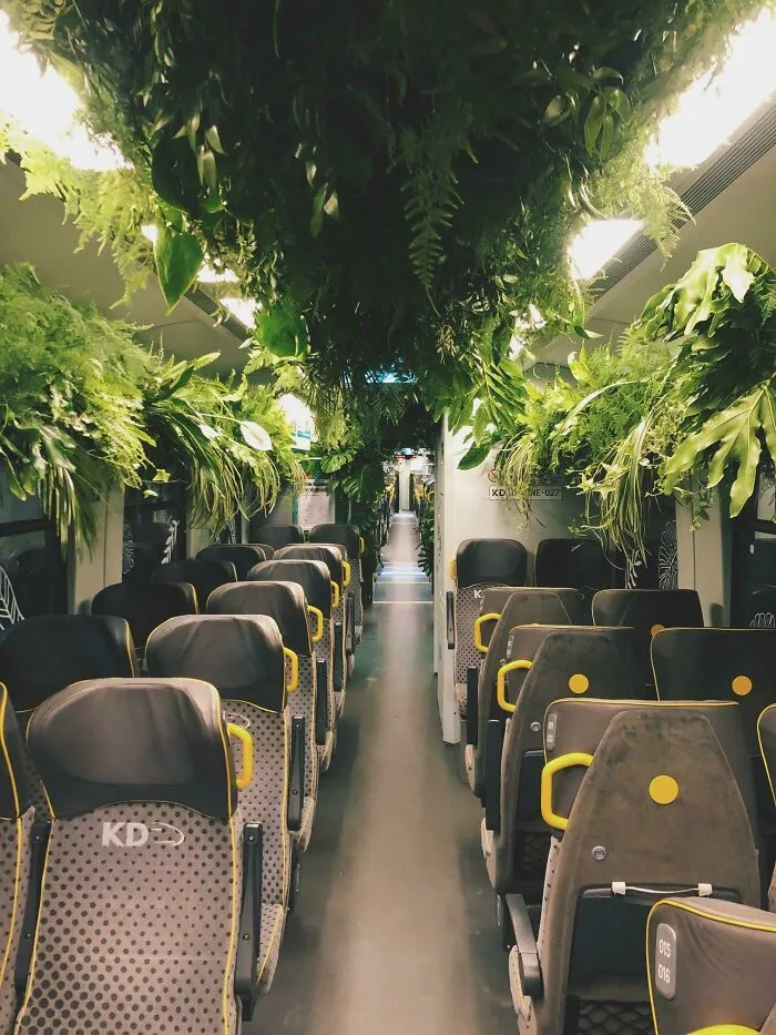 Un tren verde en la Baja Silesia, Polonia