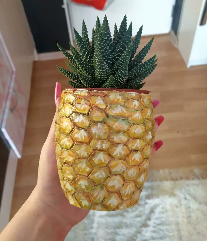 DIY Pineapple Planter
