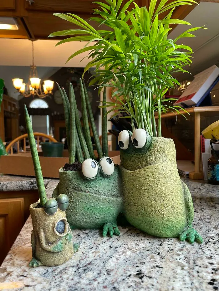 Frog Fam!