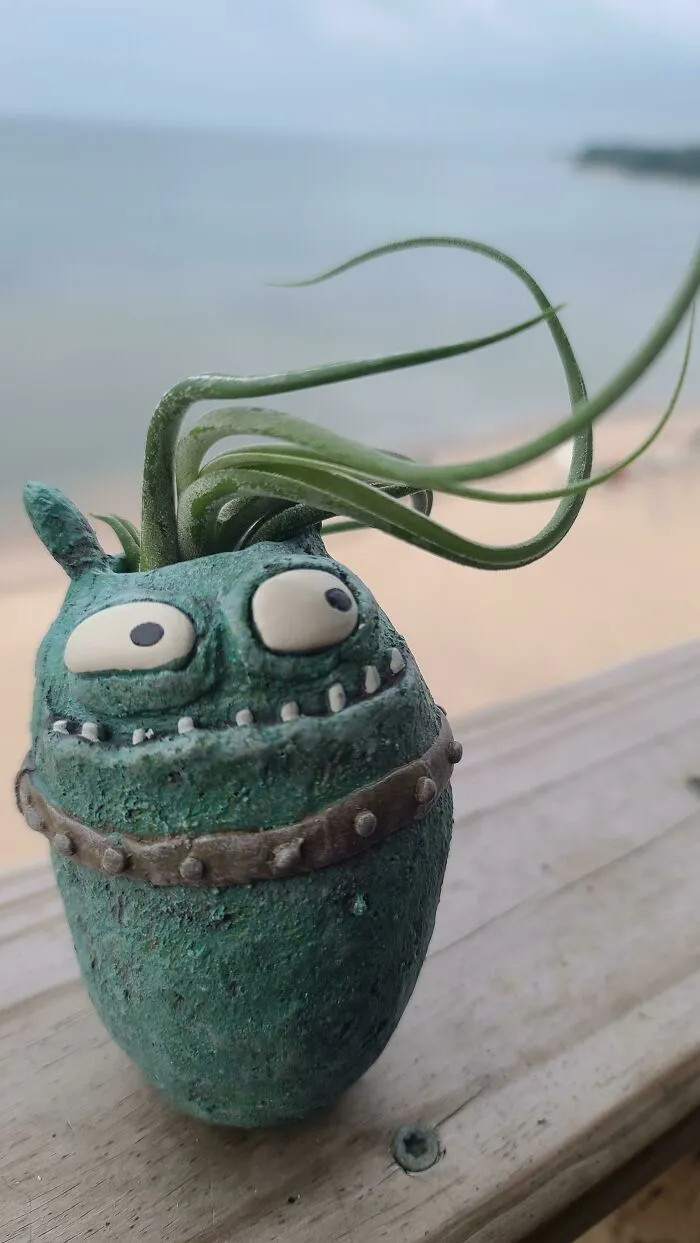 Brah, My New Plant And Pot Are The Perfect Match