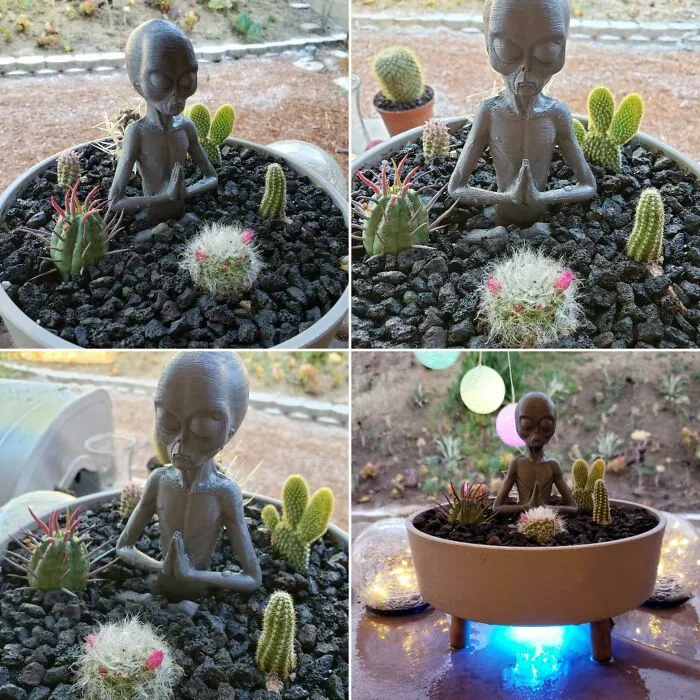 Honestly I've Peaked. My Hubs Calls Cacti Alien Babies So I Took The Ones He Picked And Set This Up For His Favorites