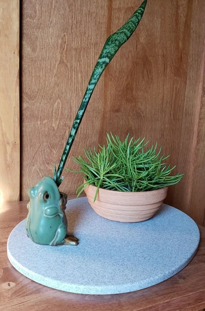Another Redditor Thought You Guys Might Appreciate This Little Guy