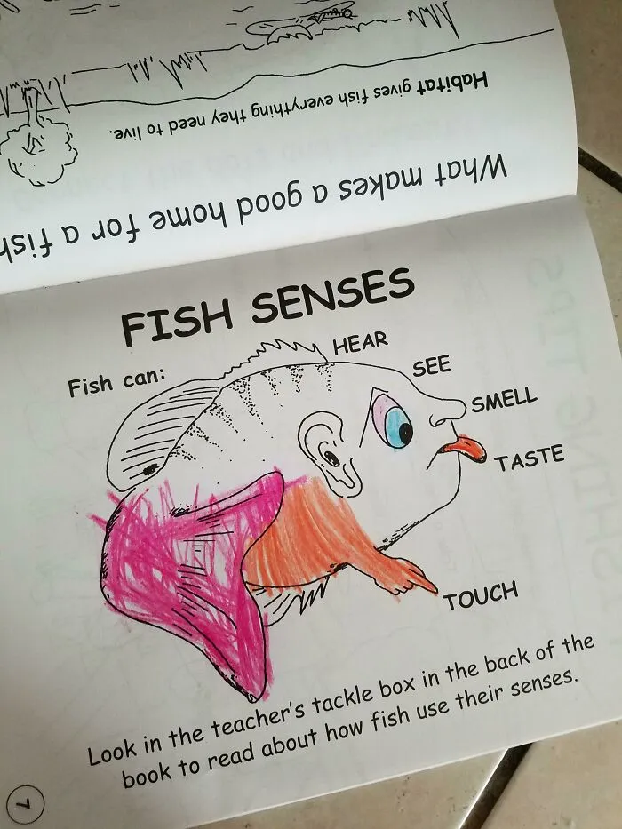 I'm Not Sure What To Say