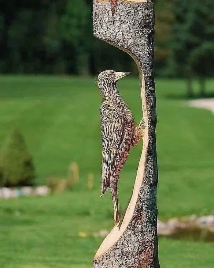 Woodpecker Wood Carving