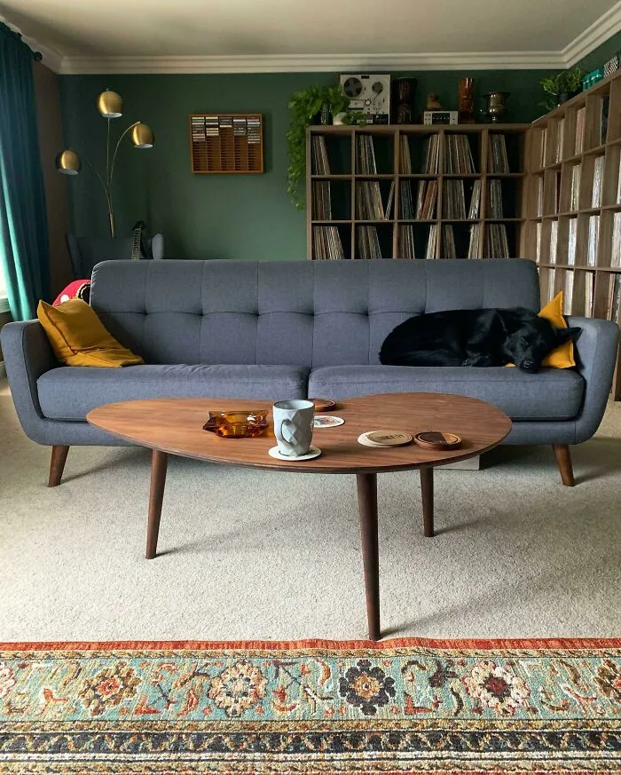 Dog sleeping on the blue couch in the green living room
