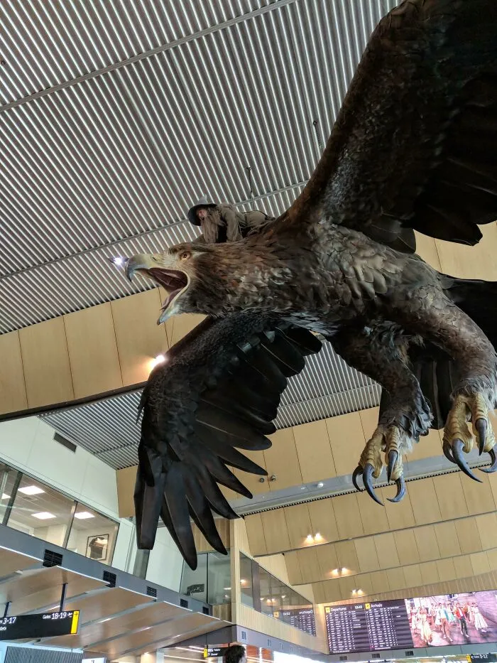 Gandalf On The Ceiling Of A New Zealand Airport