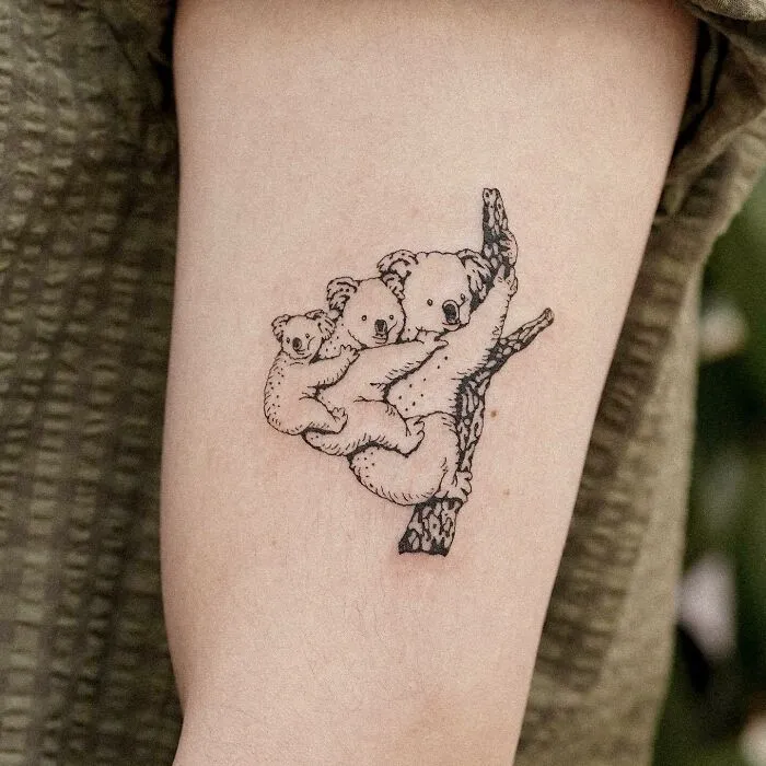 Koala family tattoo design symbolizing unbreakable bonds on a forearm.