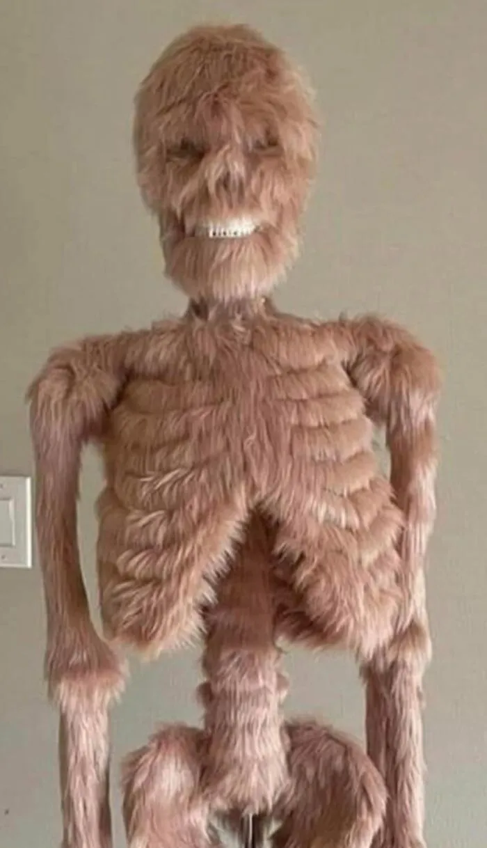 Looks Like They Tried Buying A DIY Chewbacca Kit From Wish