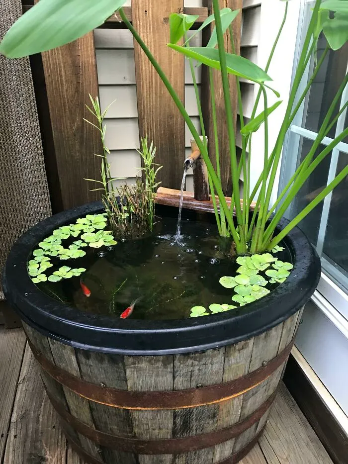Does My Barrel Pond Count?