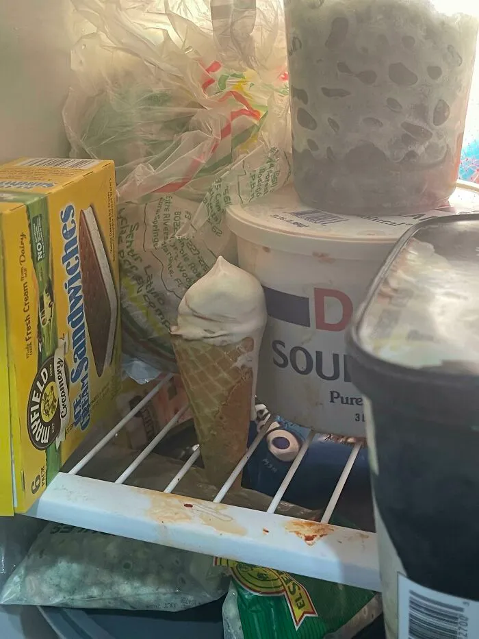 The Way My Sister Saves Her Ice Cream For Later