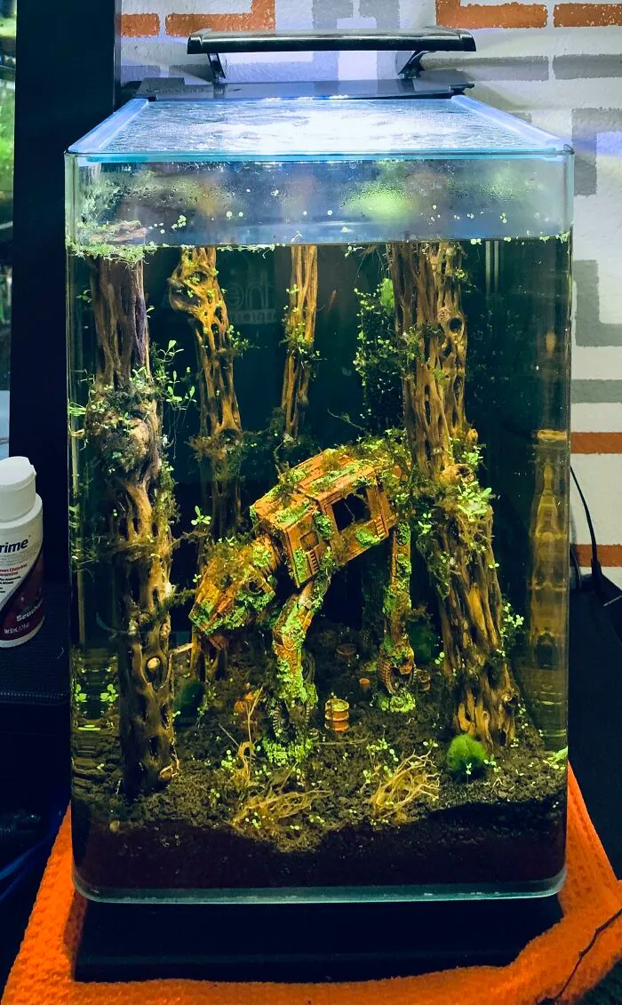 My New Ember Tetra Tank. Just Stocked It Yesterday! Hope You Guys Enjoy It