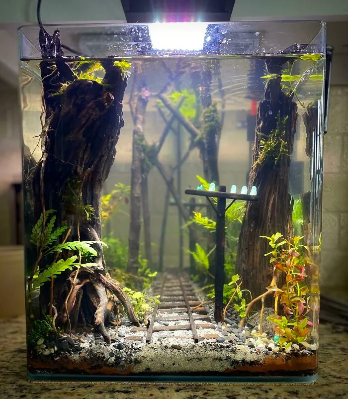 My "Abandoned Railroad" Nano Tank
