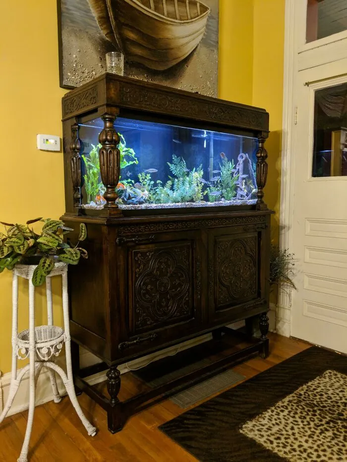 Antique cabinet with a stunning aquarium display, featuring lush greenery and decorative elements.