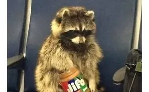 50 Posts For You To Scroll Through While Sipping Tea