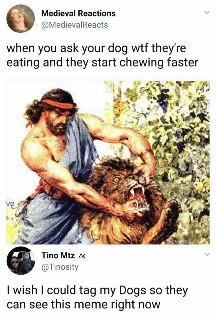 Tag Your Dog