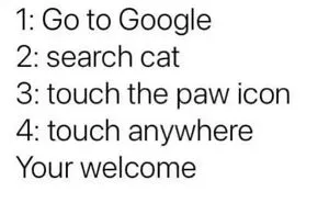 50 Posts For You To Scroll Through While Sipping Tea