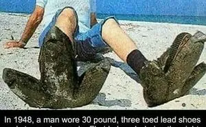 50 Posts For You To Scroll Through While Sipping Tea