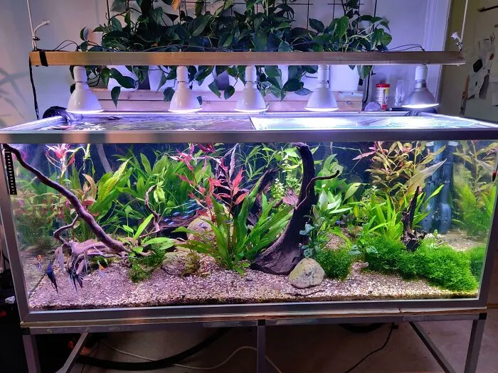 This Is My 69 Year Old Father's Tank. Give Him Some Love!