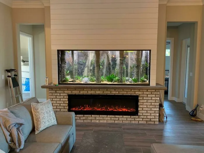 An Amazing Aquarium I Am Honored To Have Helped Build... Can't Believe How Well It Turned Out