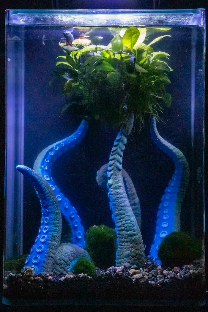 Stunning aquarium with blue octopus tentacle features and lush greenery.