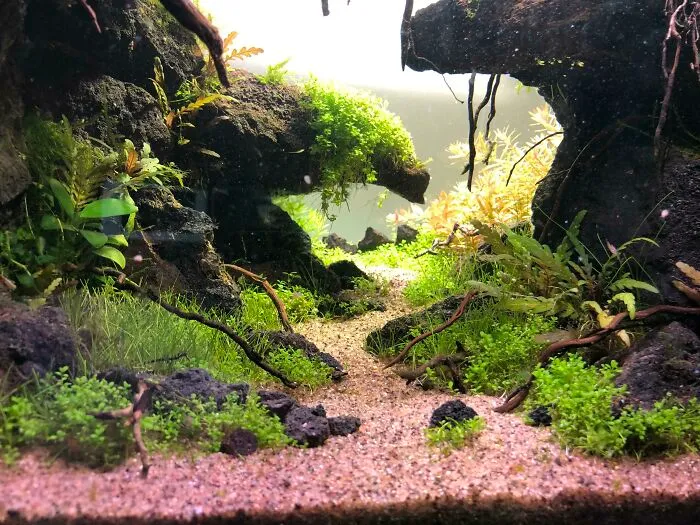 Trying For That Awesome Sense Of Depth!