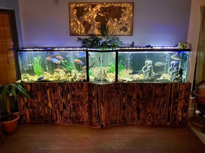 Stunning aquarium setup with vibrant fish and plants in a wooden stand, showcasing creative home decor ideas.