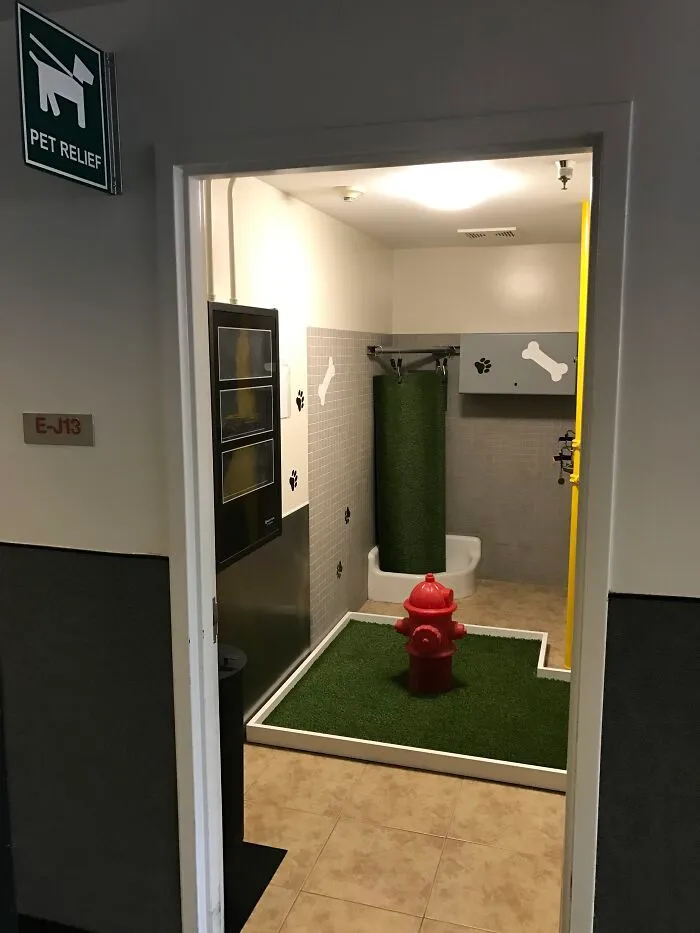 Estación para que las mascotas hagan sus necesidades en el aeropuerto